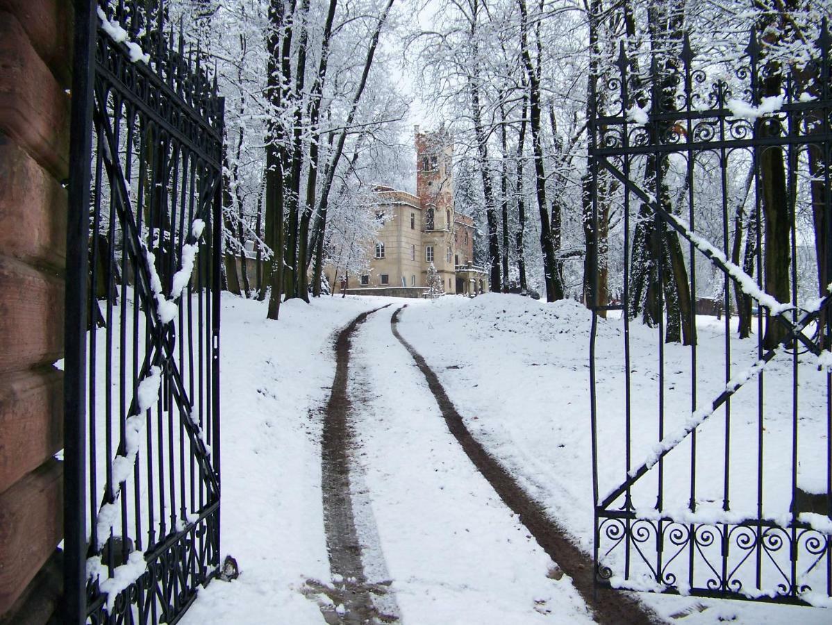 Palac Dabrowica Villa Dabrowica  Exterior photo