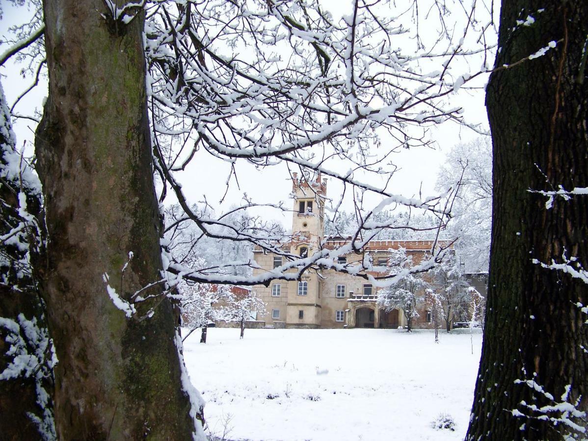 Palac Dabrowica Villa Dabrowica  Exterior photo