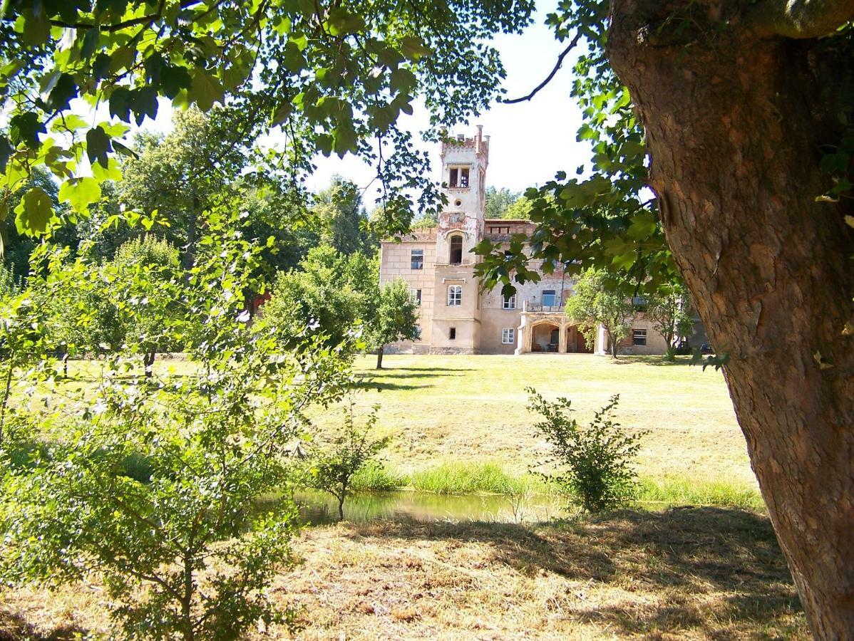 Palac Dabrowica Villa Dabrowica  Exterior photo