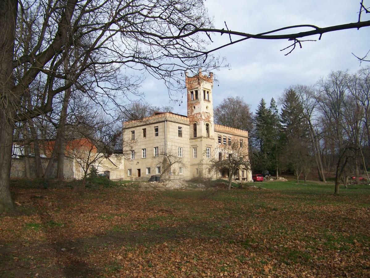 Palac Dabrowica Villa Dabrowica  Exterior photo