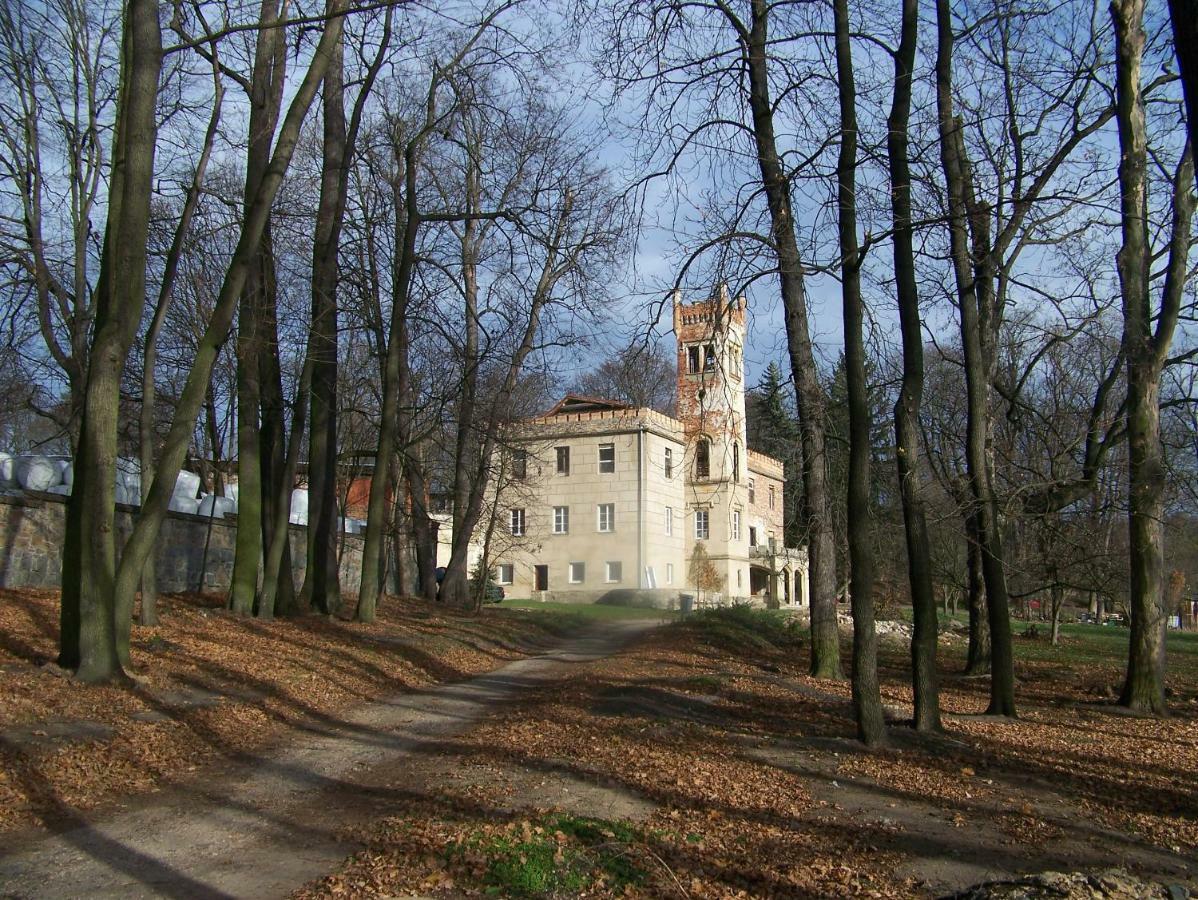 Palac Dabrowica Villa Dabrowica  Exterior photo